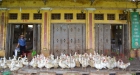 Havy poultry market ©FAO